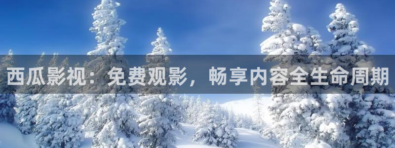飞马影视电影