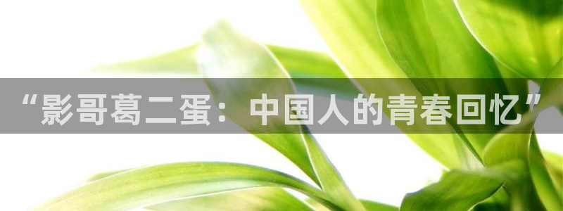 飞马影视电影