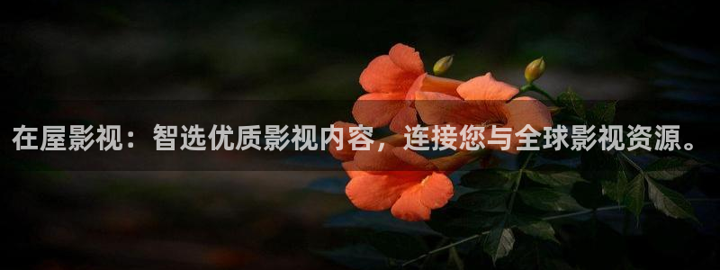 飞马影院下载