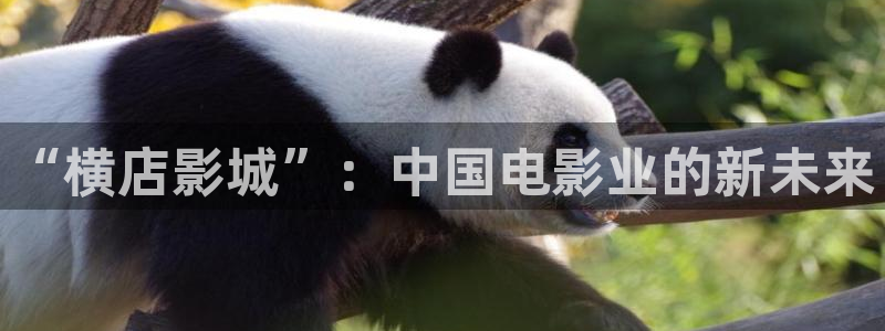 飞马影视：“横店影城”：中国电影业的新未来