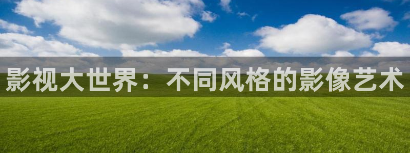 飞马良子影视有限公司：影视大世界：不同风格的影像艺术