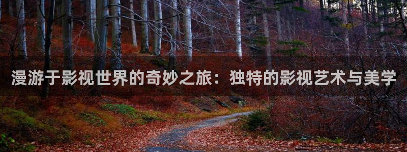 飞马影院在线观看