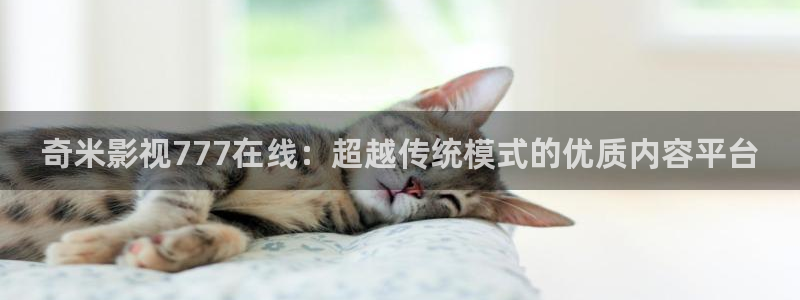 飞马影院下载