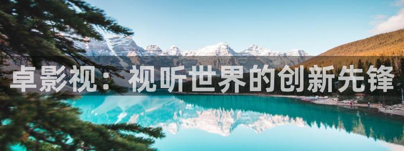 飞马影视