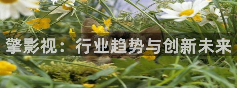 飞马影院下载安装