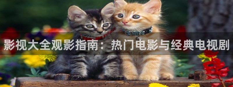 飞马影院在线观看